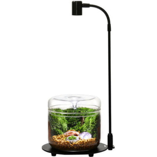 Bioloark Echo Bottle Lamp with Stand DX-03