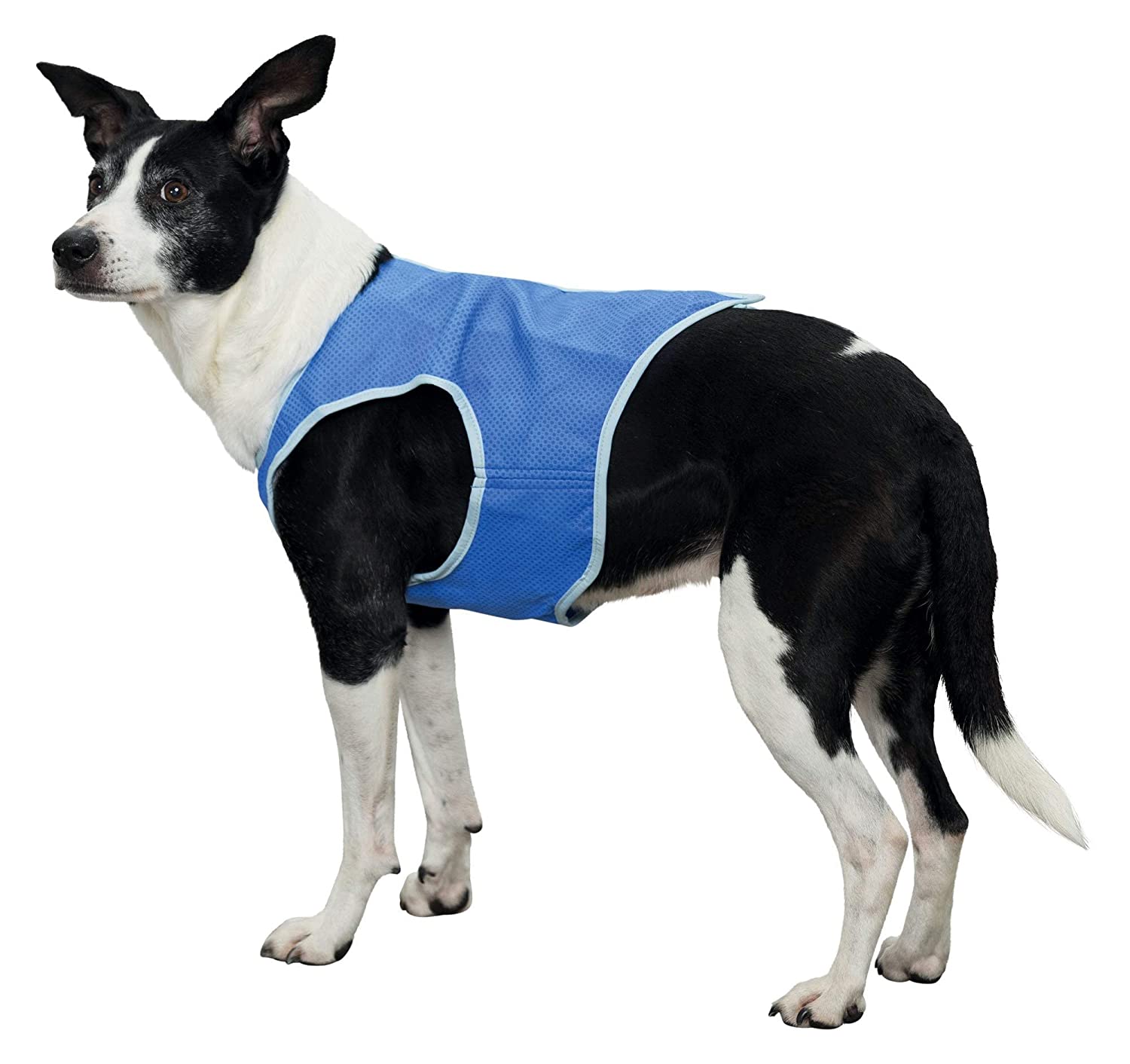 Trixie Cooling Vest, PVA, S: 25 cm - Petsgool Online