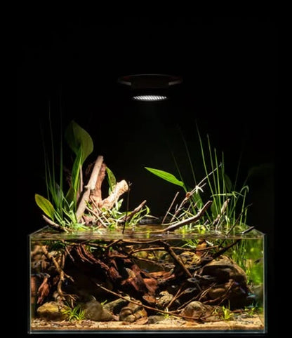 Ledstar TYNDALL AQ-T Aquarium Light