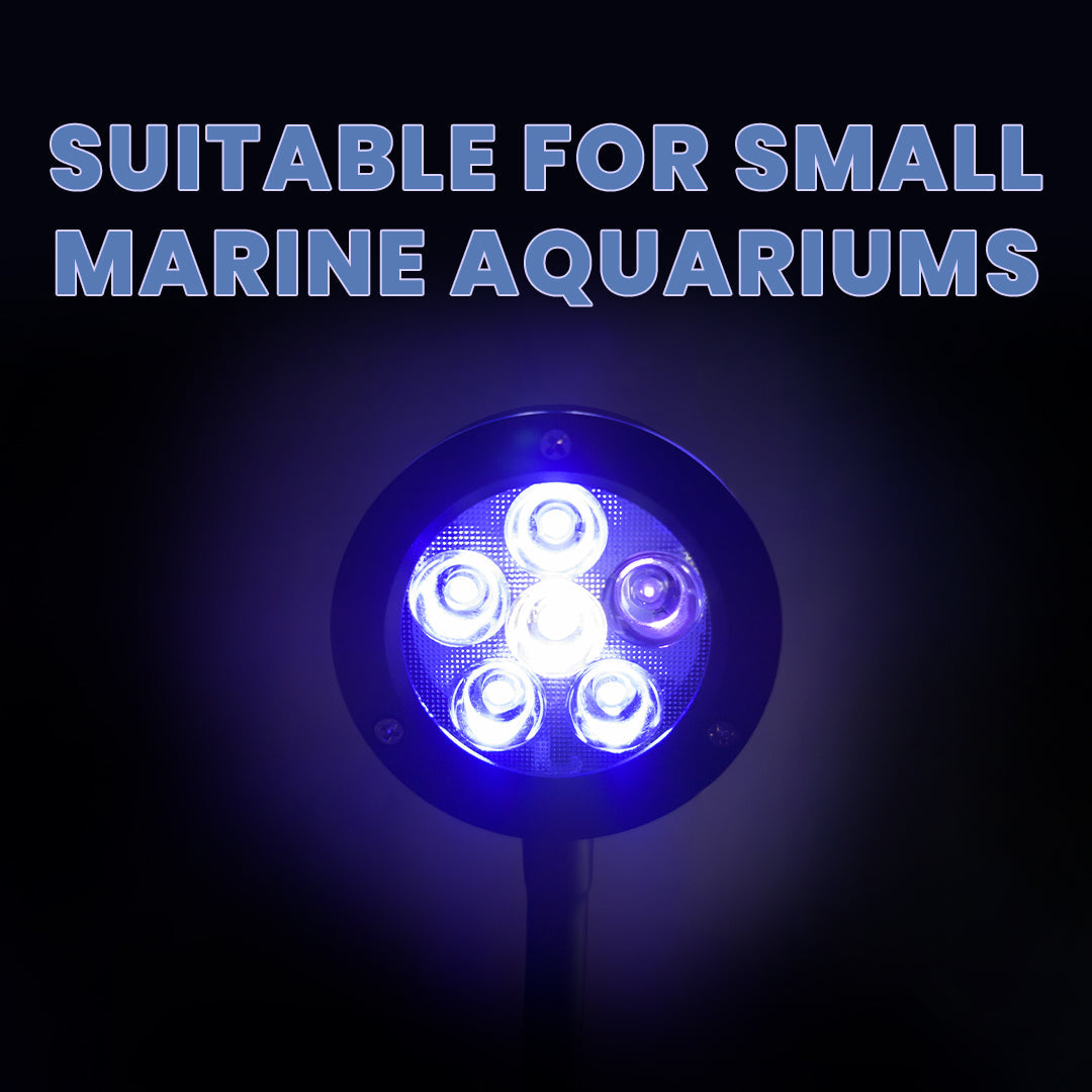 Enguia Nano Light for Marine Aqurarium