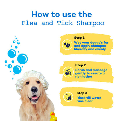 The Good Paws Tick Tick Boop | Flea & Tick Dog Shampoo | Relieves Itching & Dryness | All Natural Eucalyptus & Lemongrass Oil | Dog Shampoo For Golden Retriever, Labrador | Itch Relief Shampoo | Eucalyptus (Allergen Free) 250 ml