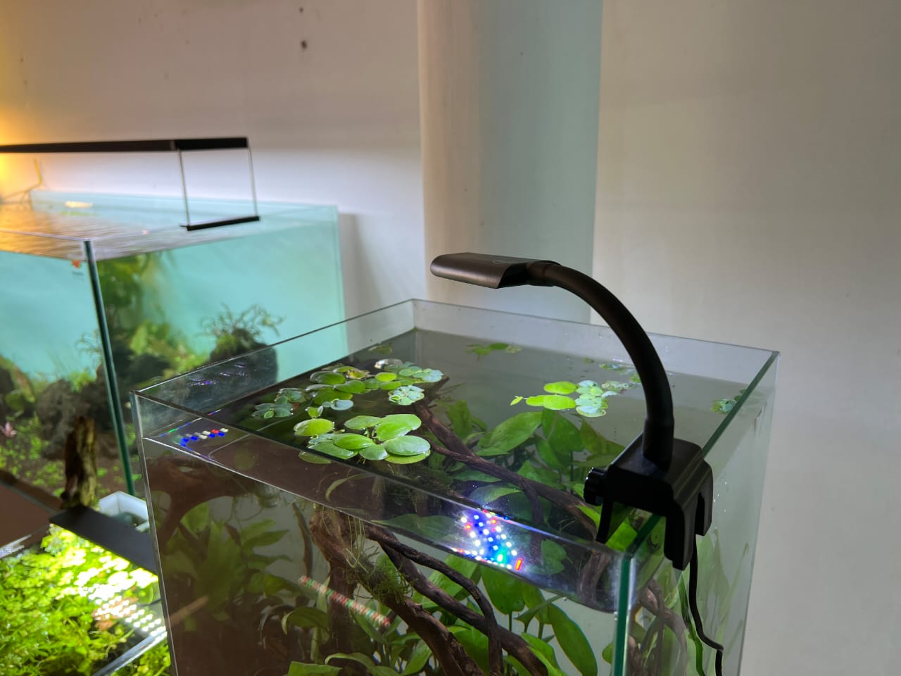 Enguia Wrgb Dimmable Aquarium nano Led Light 15cm to 30cm - Petsgool Online