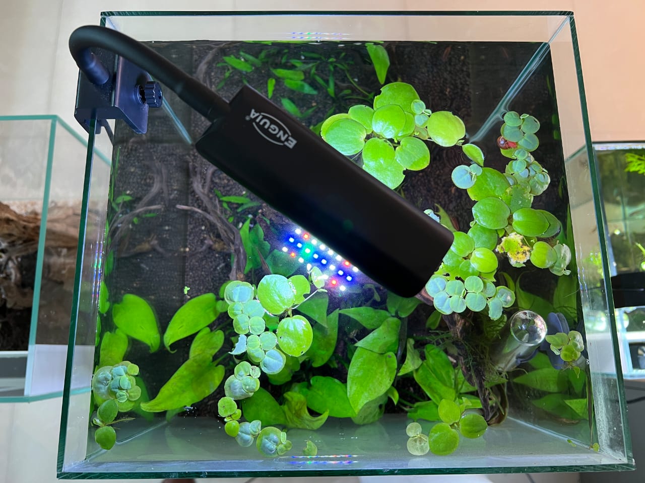 Enguia Wrgb Dimmable Aquarium nano Led Light 15cm to 30cm - Petsgool Online