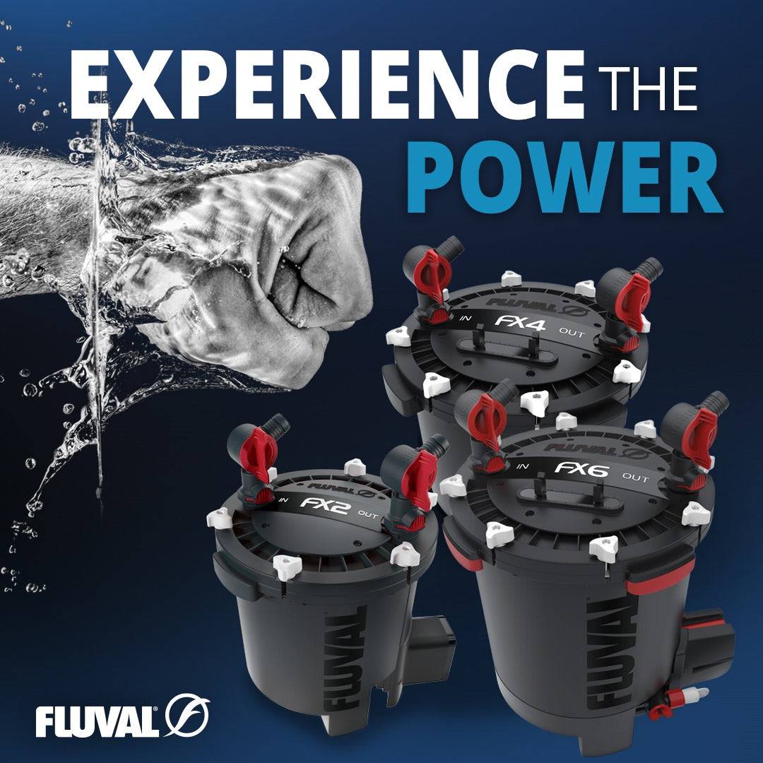Fluval FX2 High Performance Canister Filter, up to 175 US Gal (750 L)