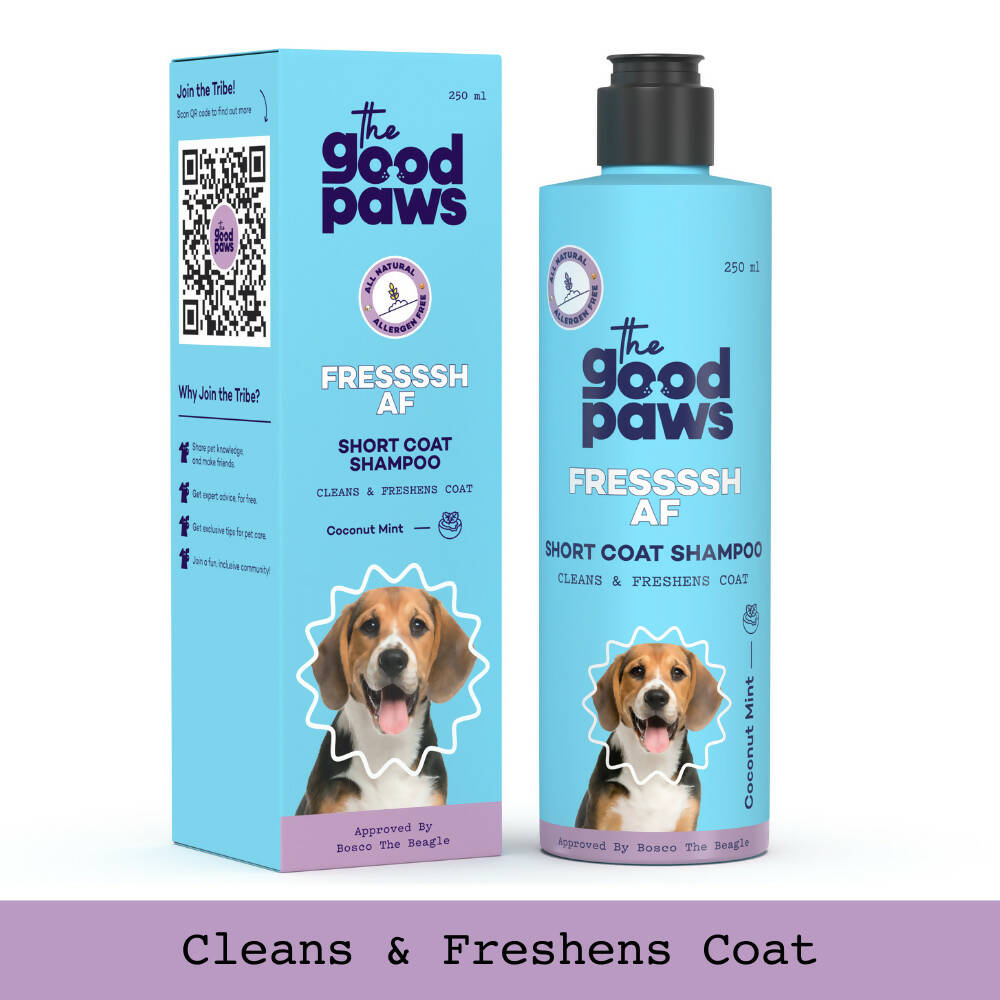 The Good Paws FRESSSSH AF Short Coat Shampoo | Smoothes Skin & Coat | Dog shampoo For Beagle, Labrador, Great Dane | All Natural Jojoba & Castor Oil | Pet Shampoo for Dogs & Cats | Coconut Mint (Allergen Free) 250 ml