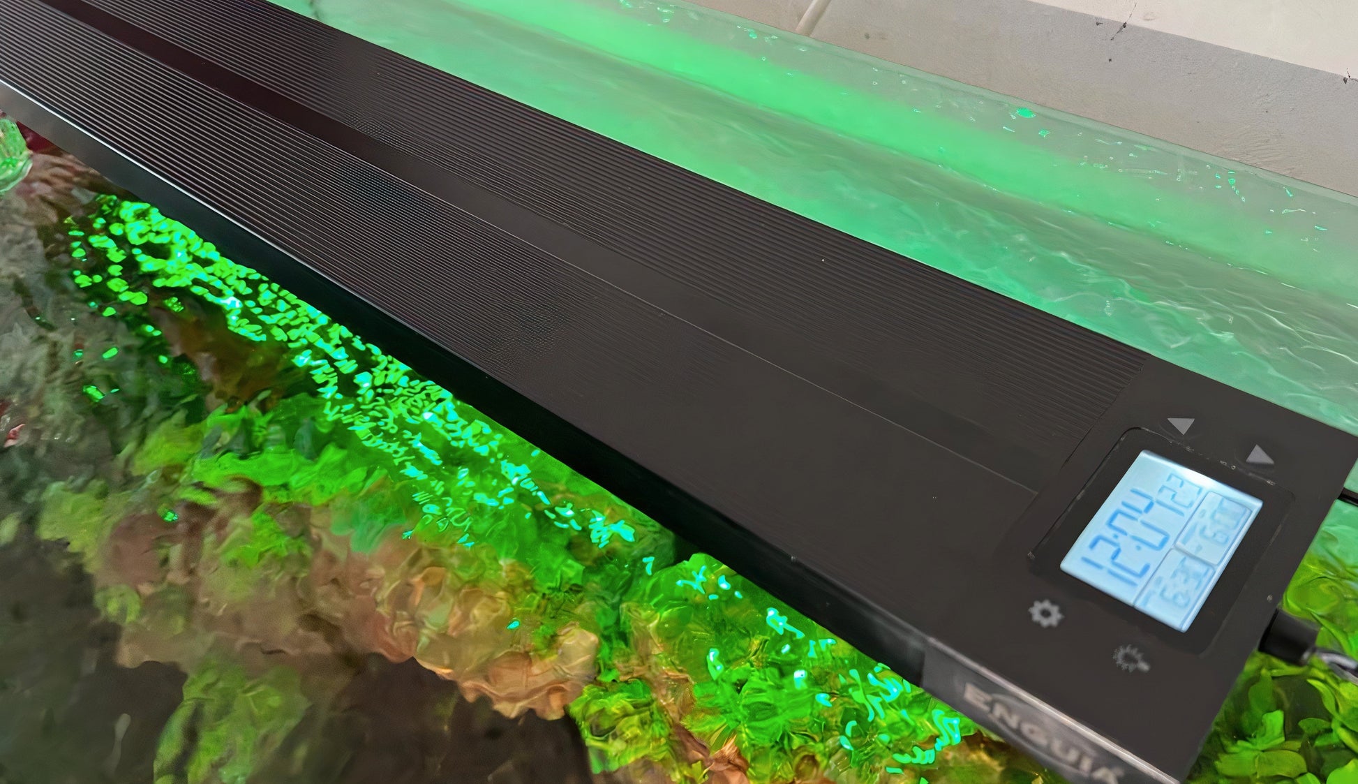 Enguia Programmable Aquarium Led Light - Petsgool Online