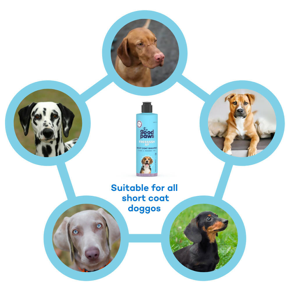 The Good Paws FRESSSSH AF Short Coat Shampoo, Smoothes Skin & Coat