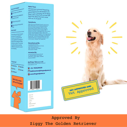 The Good Paws Tick Tick Boop | Flea & Tick Dog Shampoo | Relieves Itching & Dryness | All Natural Eucalyptus & Lemongrass Oil | Dog Shampoo For Golden Retriever, Labrador | Itch Relief Shampoo | Eucalyptus (Allergen Free) 250 ml