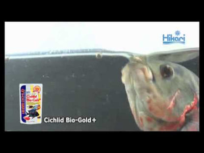 Hikari Cichlid Bio-gold+ Mini 250gm