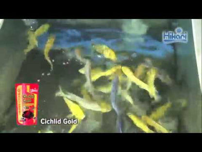 Hikari Cichlid Gold Large 250g