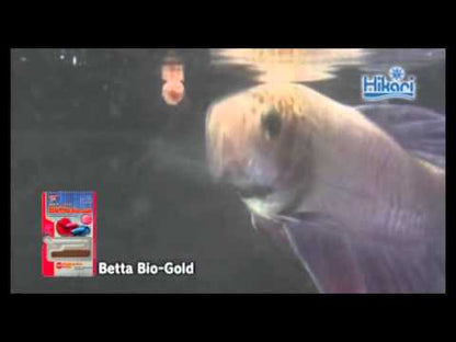 Hikari Tropical Betta Bio gold 20gm