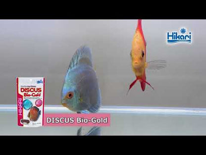 Hikari Discus Bio-gold 80gm