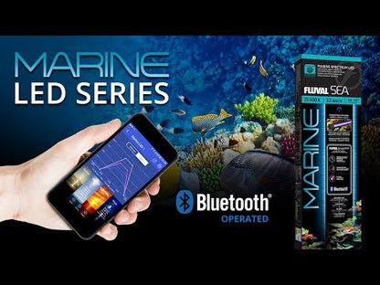 Fluval Marine 3.0 Bluetooth LED, 22W, 15-24″ / 38-61 cm