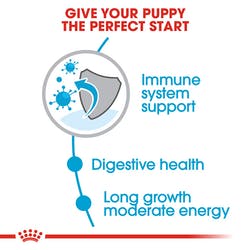 Royal Canin Maxi Puppy Dog Food 4kg - Petsgool Online