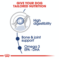 Royal Canin Maxi Adult Wet Dog Food 140g (12 Packs) - Petsgool Online