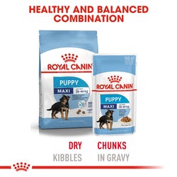 Royal Canin Maxi Puppy Wet Gravy Pouch 140g (Pack of 10) - Petsgool Online