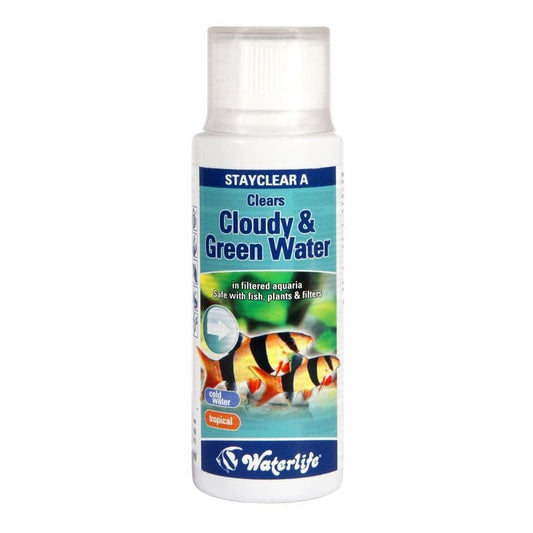 Water Life Stay Clear 100ml