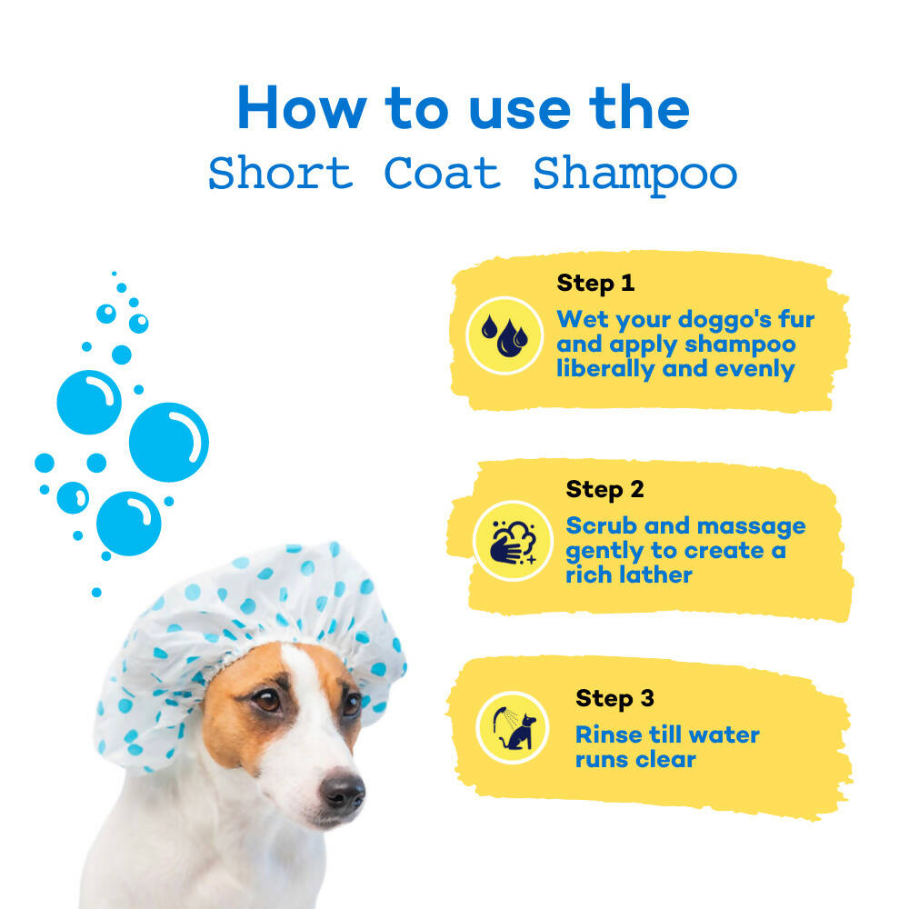 The Good Paws FRESSSSH AF Short Coat Shampoo | Smoothes Skin & Coat | Dog shampoo For Beagle, Labrador, Great Dane | All Natural Jojoba & Castor Oil | Pet Shampoo for Dogs & Cats | Coconut Mint (Allergen Free) 250 ml